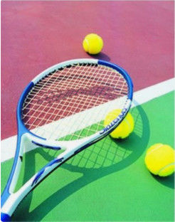 Q235 Tennis Ball Rubber Vulcanizing Press 2.2kw